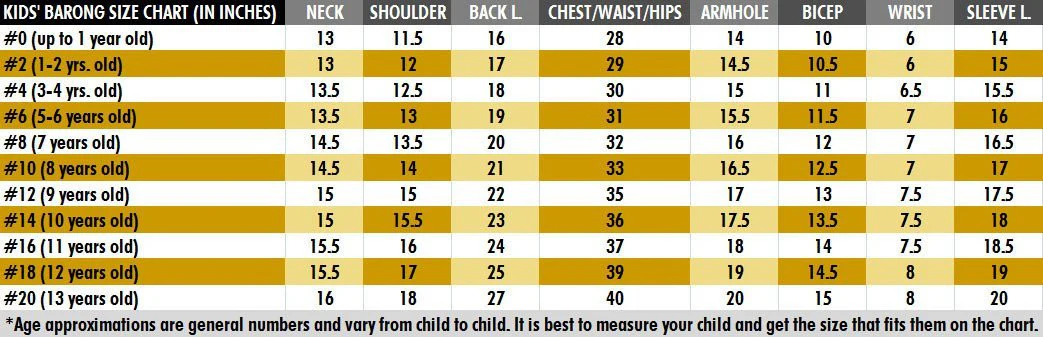 BO02 - Boys' Organza Barong Tagalog - Image 4